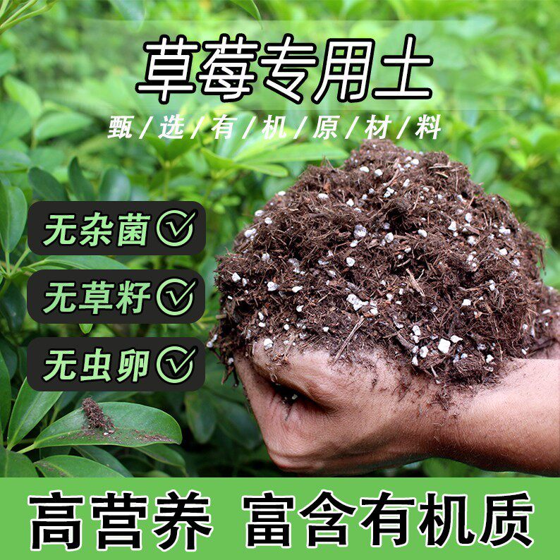 草莓专用土家用盆栽绿植通用营养土养花轻质蓬松有机花泥肥料土壤