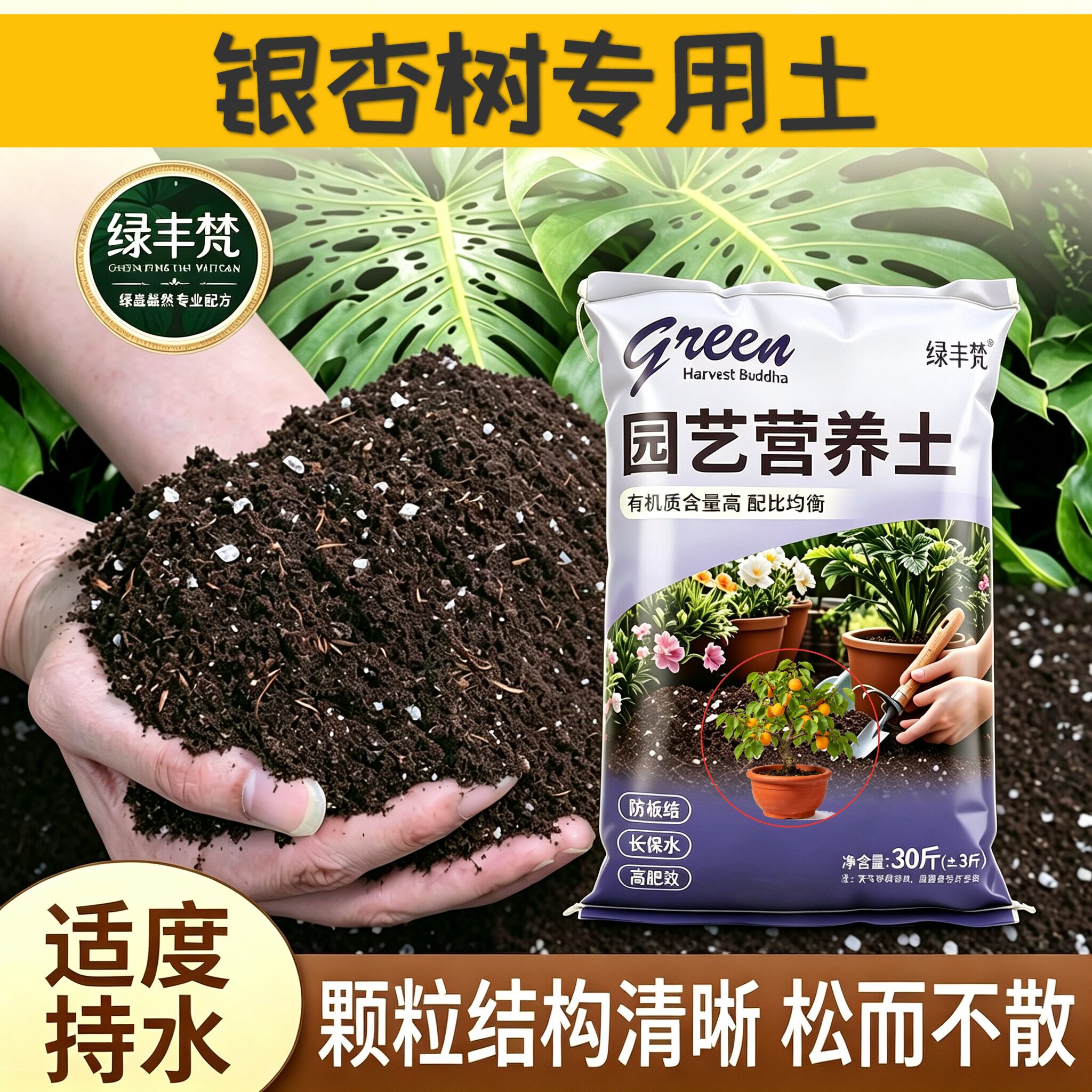 银杏树适用栽培土腐殖泥炭土不板结育苗加深生根粉进口防黄叶球根