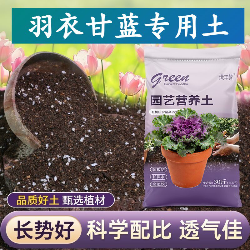 羽衣甘蓝适用基质腐殖泥炭土保水锁肥扦插大包优质防徒长喜酸增色