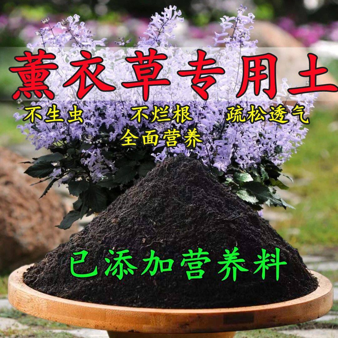 薰衣草专用土养花营养土种植土壤家用有机盆栽花泥花卉有机腐殖土