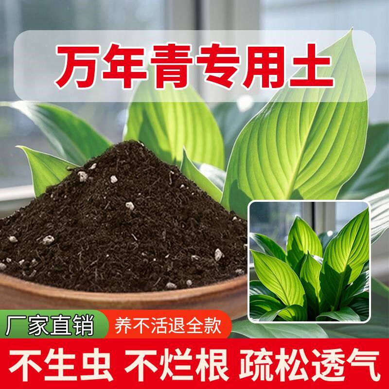 万年青专用土种菜土种植土有机栽培土盆栽专用土花肥室内种花土
