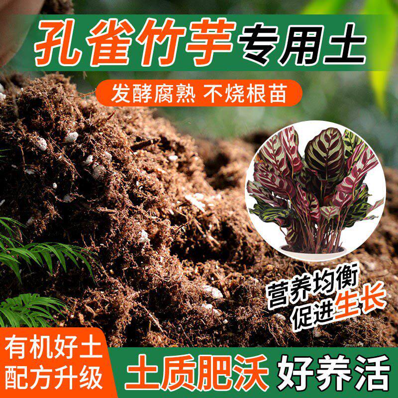 孔雀竹芋专用土种植士营养土家庭阳台养花盆栽绿植轻质有机肥料土
