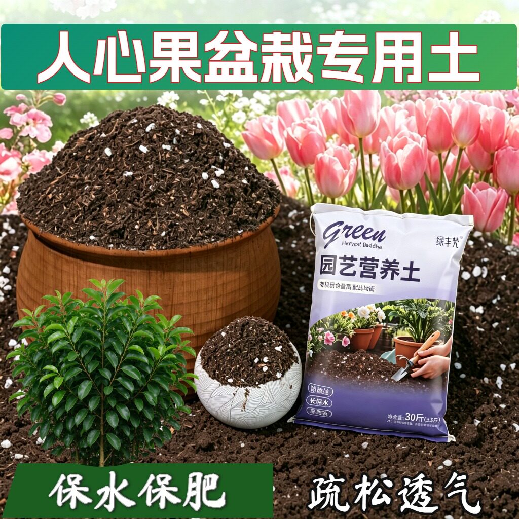 人心果盆栽适用栽培土不烂根高温腐熟扦插包邮有机防徒长观叶增色