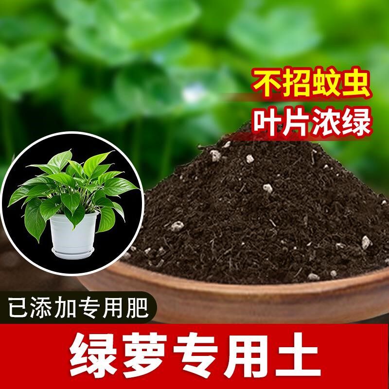 绿萝专用土植物花土盆栽专用土绿植花盆通用型家用栽培土营养土
