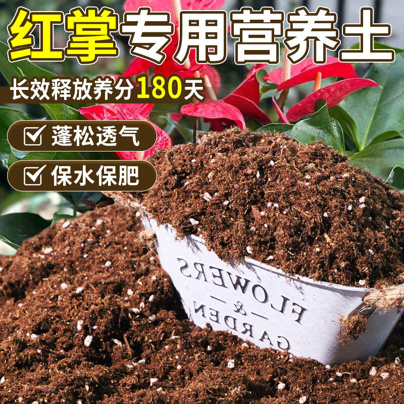 红掌专用种植土泥炭土促开花不烧根不烧苗屋顶园艺盆栽土进口观叶