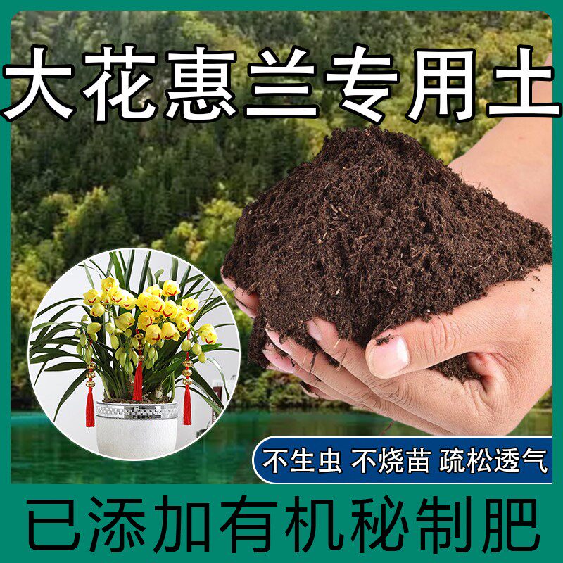 大花蕙兰专用土养植透气土君子兰石斛松树皮养蝴蝶兰肥料营养土壤