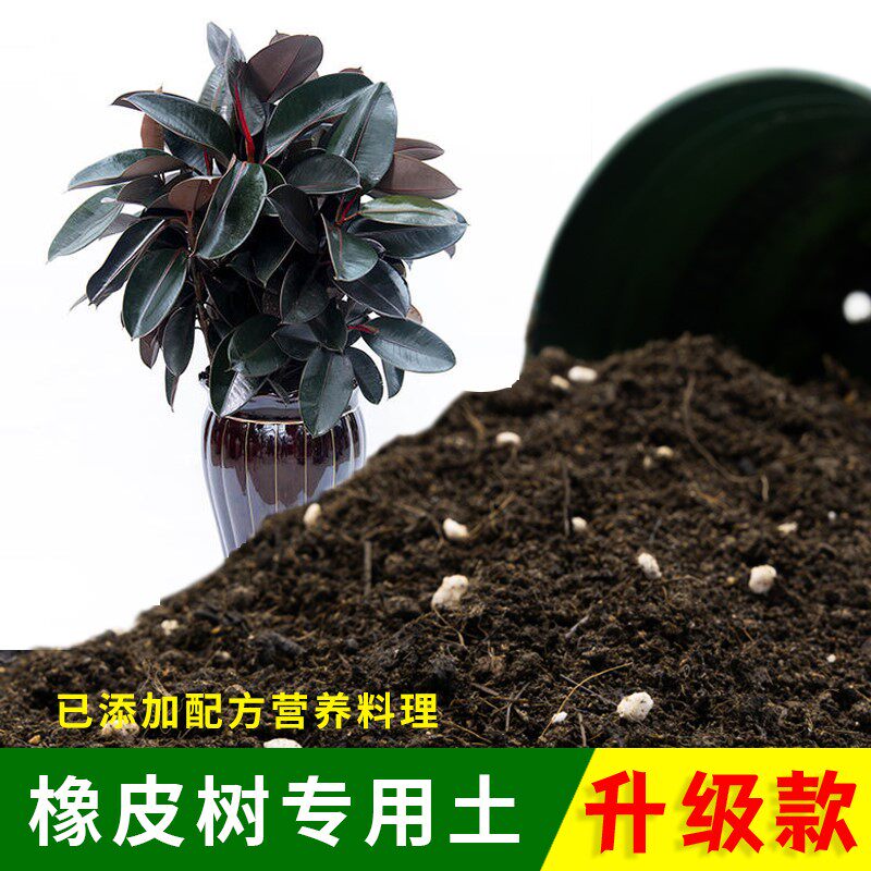 橡皮树专用土盆栽绿植种花土橡皮树专用营养土通用有机肥料种植土