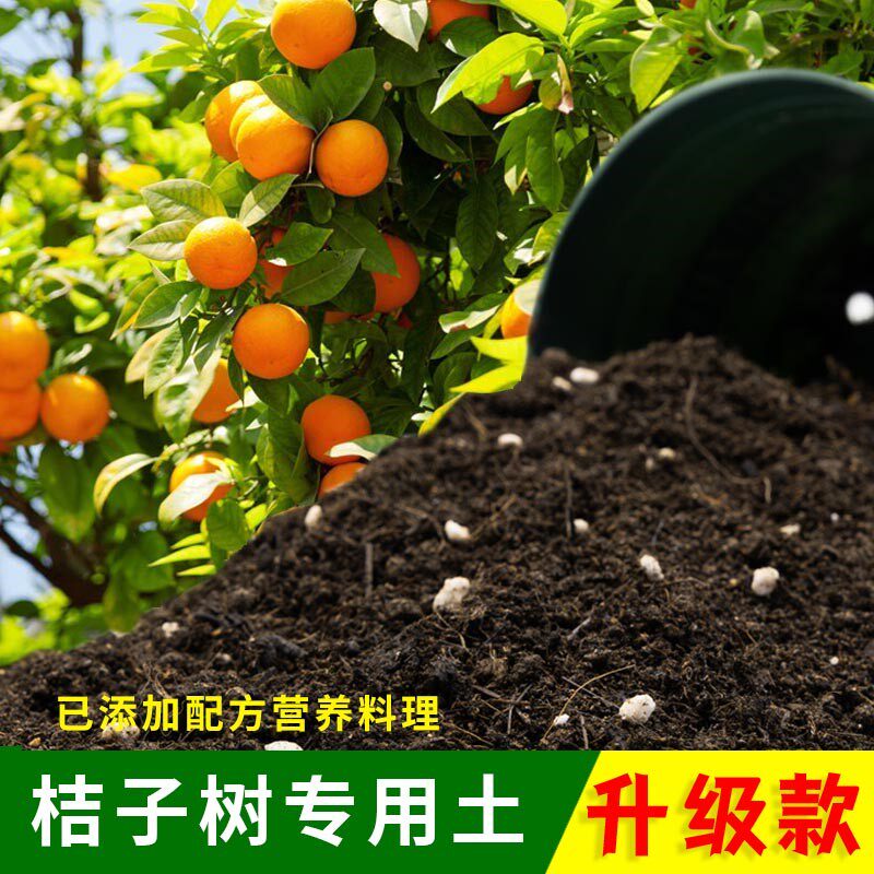 桔子树专用土桔子盆栽山桔东风桔营养土庭院果树营养土酸性肥料土