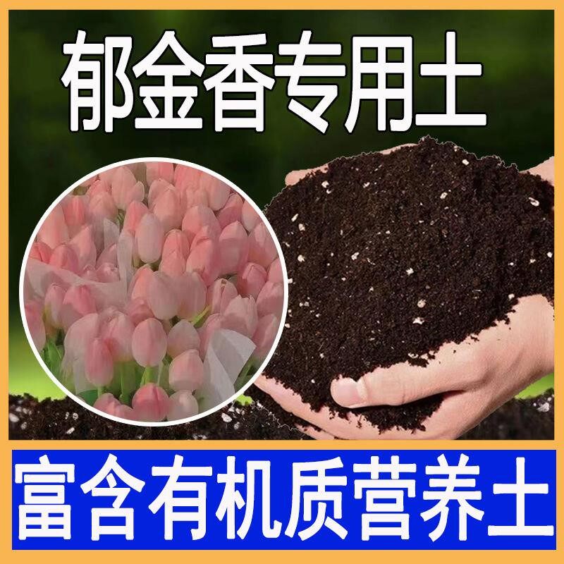 郁金香专用土郁金香专用营养土盆栽绿植种花养花土有机肥料种植土
