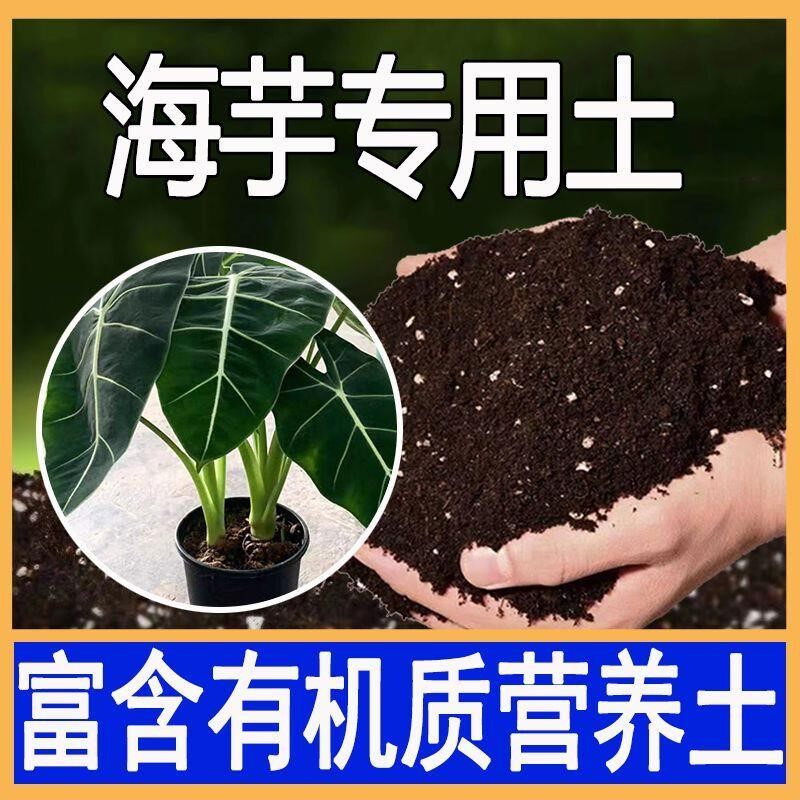 海芋适用土海芋土家用盆栽营养土酸性沙质泥炭土壤绿植种植土肥料