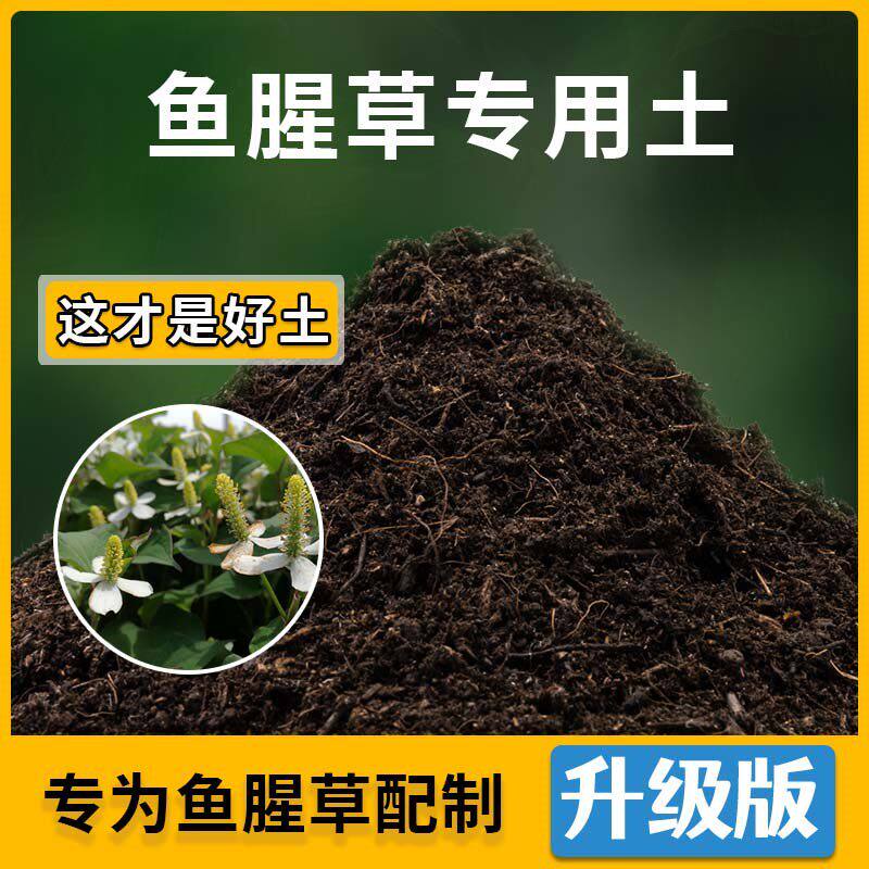 鱼腥草专用土鱼腥草营养土家用种植土壤家庭盆栽种花养花有机土