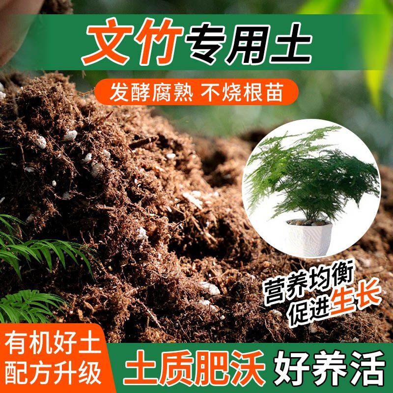 文竹专用土种植士营养土家用阳台养花卉盆栽轻质蓬松有机肥料土壤