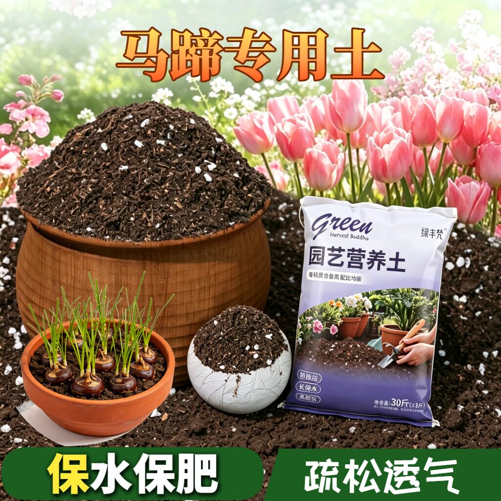 马蹄适用盆景土不烂根盆栽加深生根粉精选壮根多肉观花喜酸不板结
