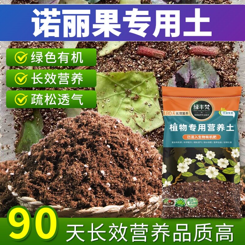 诺丽果专用泥炭土干净无杂地栽营养土优质减少积水开袋即用木本