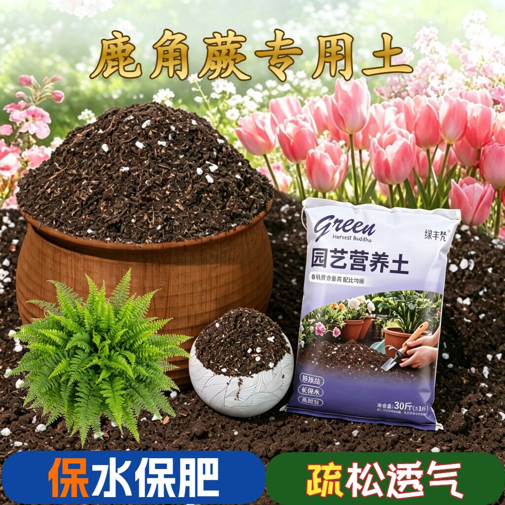 鹿角蕨适用盆景土不烂根家庭园艺大包优质壮根多肉精选保水保肥