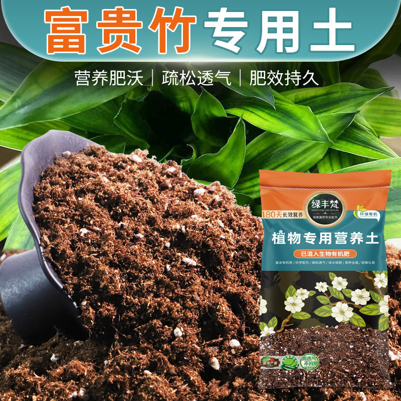 富贵竹适用扦插基质养花专用有机土质缓冲性佳开袋即用株型紧凑
