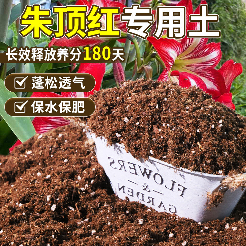 朱顶红专用泥炭土不板结蓬松多孔盆栽基质土室内适用配方土通用土