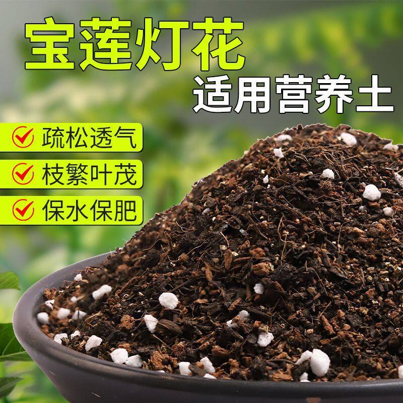 【滴水观音专用土】疏松透气盆栽绿植专用室内植物有机营养土肥料