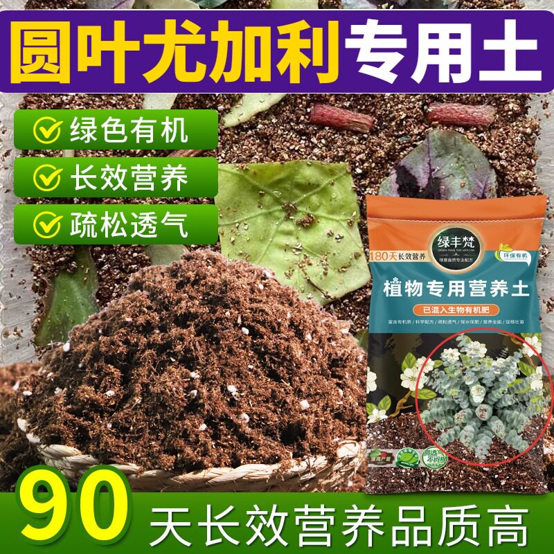 圆叶尤加利适用配方土温和基质多肉营养土精选舒缓根系实惠装球根