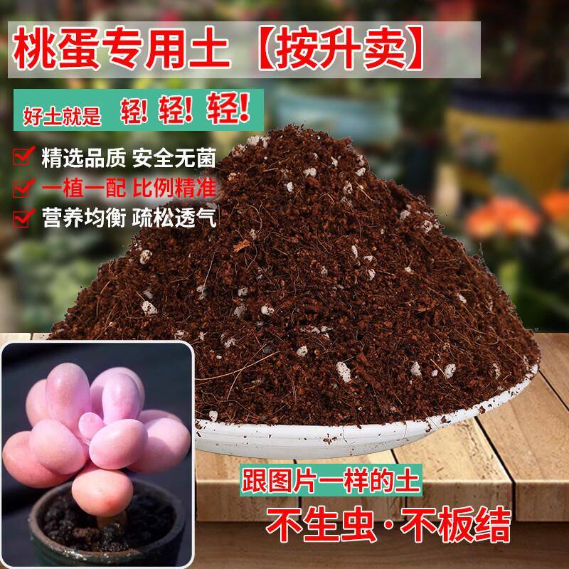 桃蛋专用土多肉肥料专用营养土花卉盆栽通用型椰糠泥炭腐殖颗粒土