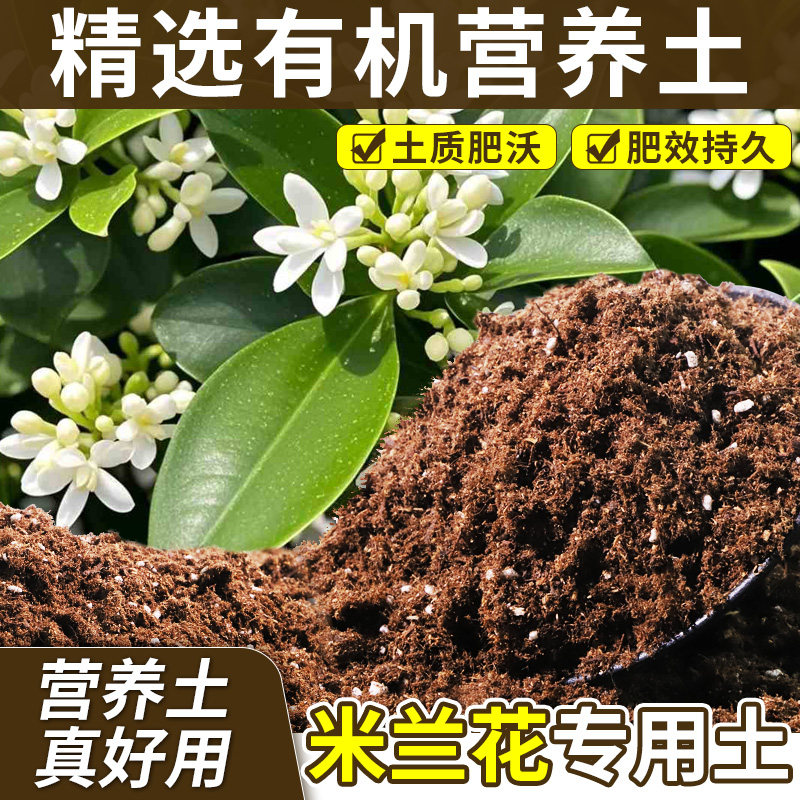 米兰花专用土壤疏松透气花盆营养土杂质较少减少积水试用装球根
