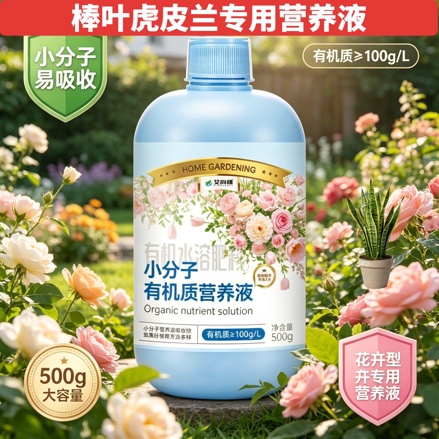 棒叶虎皮兰专用小分子有机质营养液浓缩高效根叶双补家用叶绿花艳