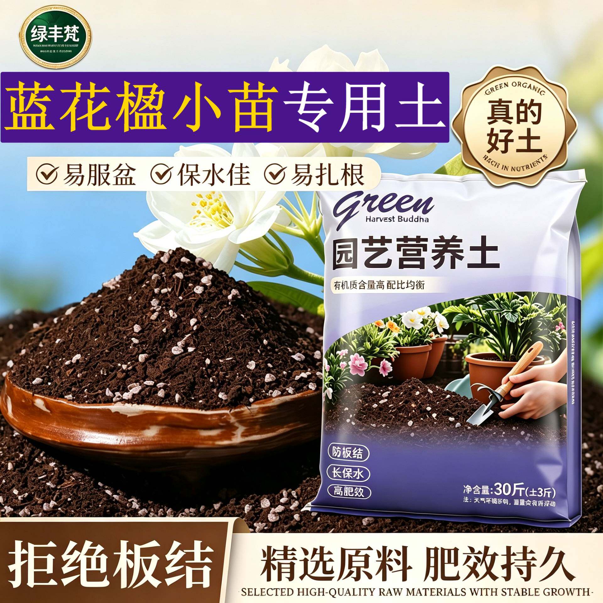 蓝花楹小苗适用腐叶土保水保肥根壮苗好菜园大包天然绿叶木本包邮