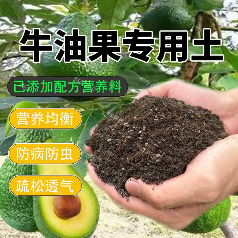 牛油果专用土牛油果营养土果树盆栽土养花种花土通用种植肥料土壤