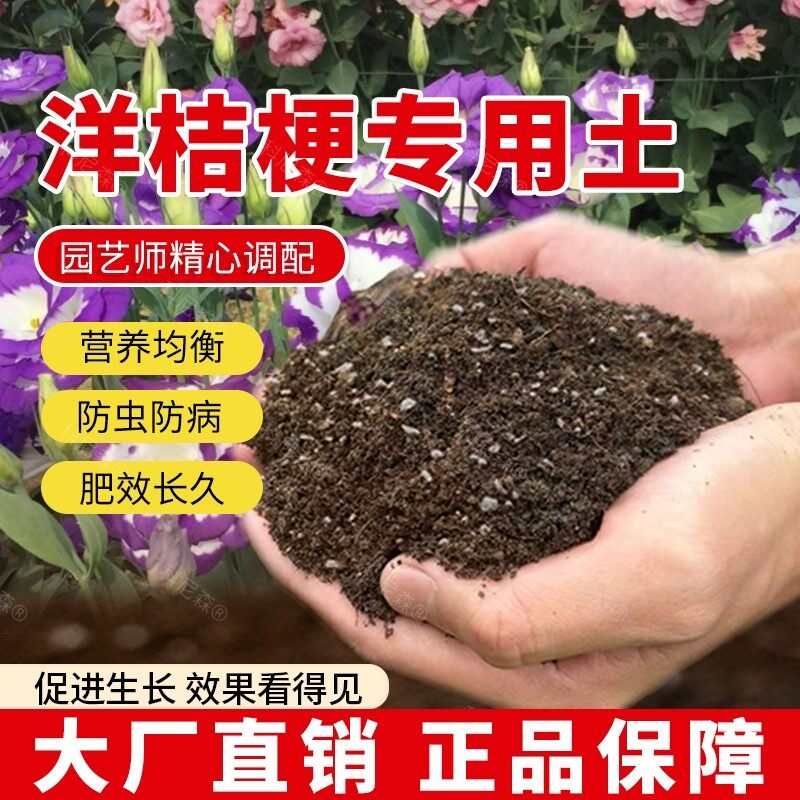 洋桔梗专用土肥料洋桔梗营养土绿植盆栽土壤种花种植椰砖花草黑土