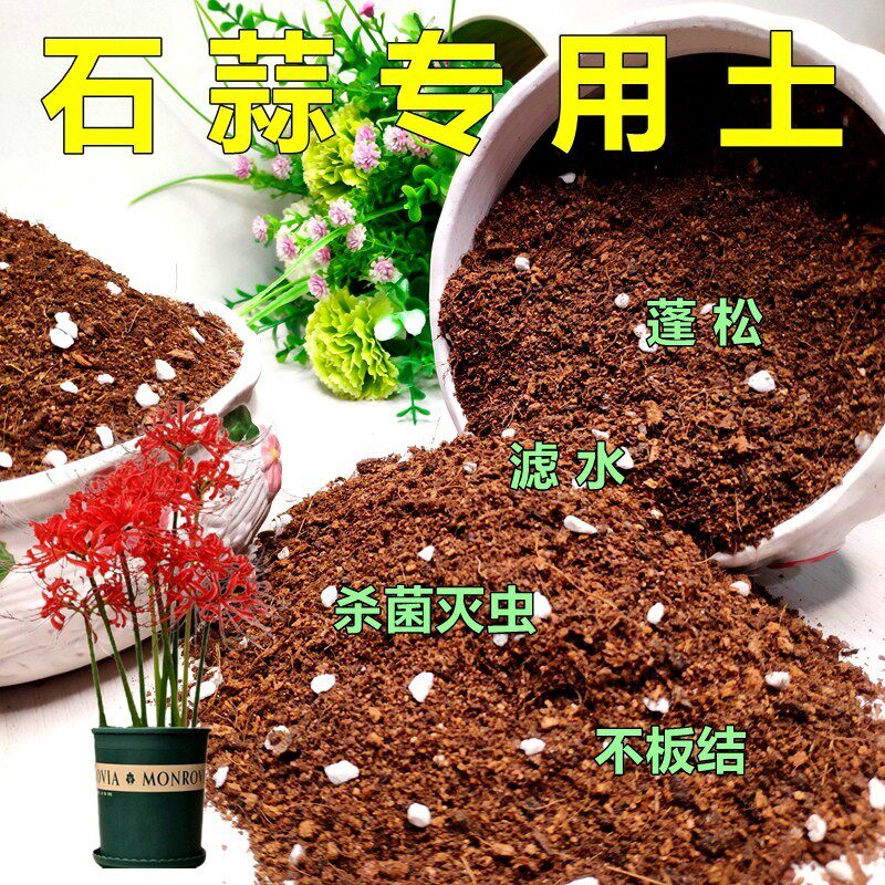 石蒜专用土彼岸花曼珠沙华盆栽花泥绿植园艺通用有机土壤营养土