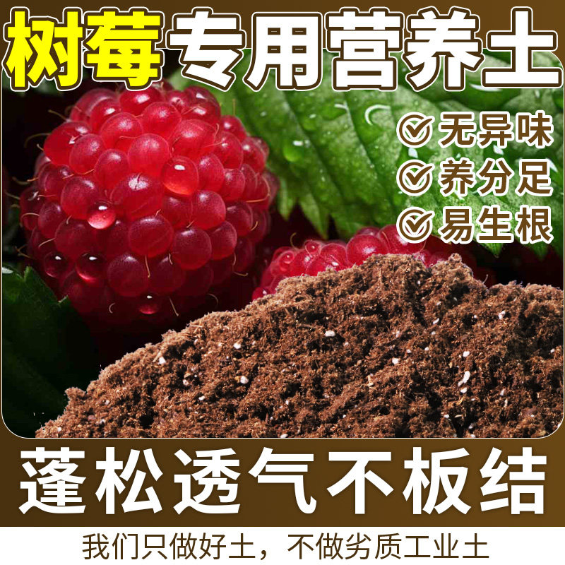 树莓适用腐殖土配比均衡育苗营养土不易粉化稳定土团实惠装球根