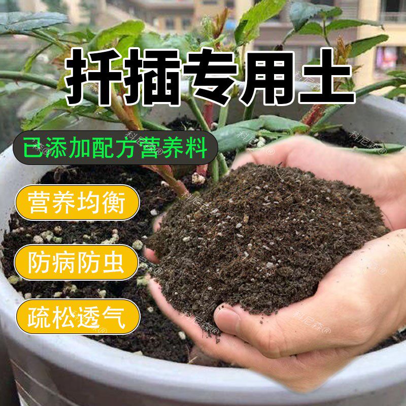 扦插专用土养花通用型扦插土壤育苗专用营养土养花绿植泥土种植土