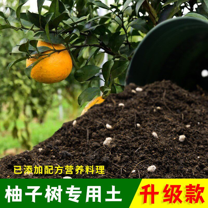柚子树专用土柚子树营养土盆栽果树专用土泥土肥料专用肥种植土壤