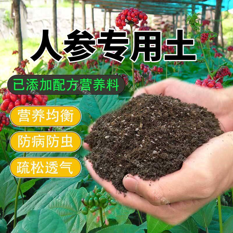 人参专用土人参苗营养土种植酸性土壤盆栽种花泥土疏松透气养花土
