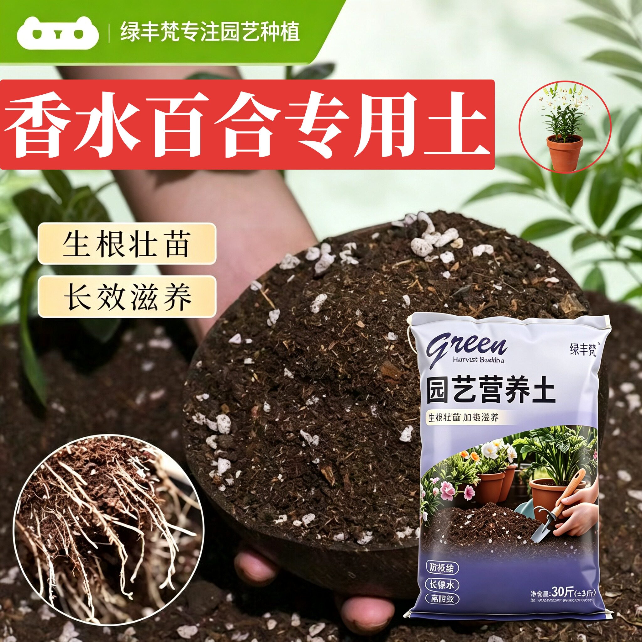 香水百合适用有机土高温灭菌菜园包邮优质防黄叶观叶增色木本壮根