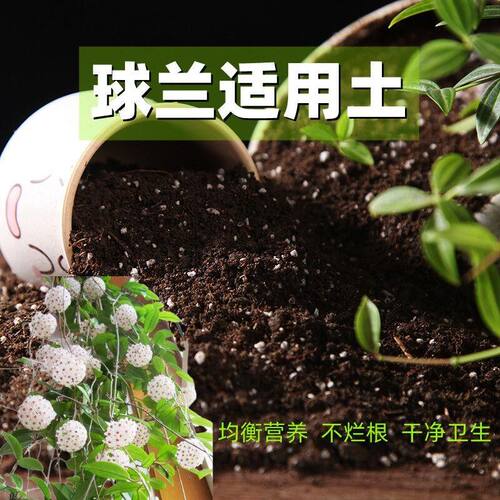 球兰适用土种花土养花营养土通用型有机土种菜土多肉种植土壤