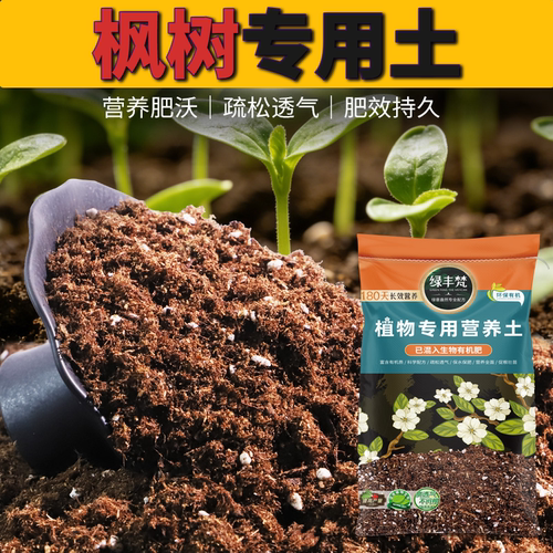 枫树专用营养土促生长促发芽阳台基质土配方土种植土绿叶种植土
