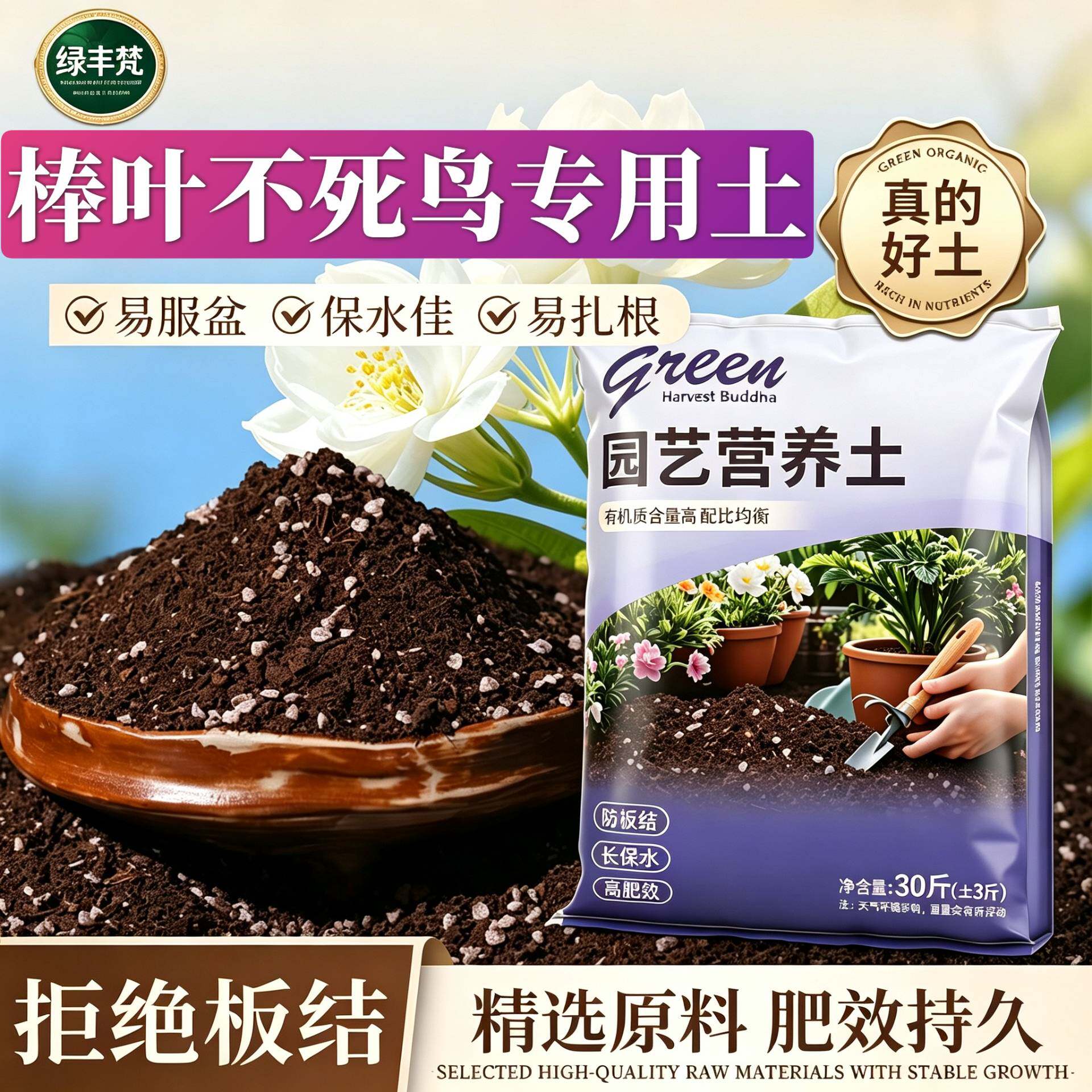 棒叶不死鸟专用盆景土高温腐熟不闷根阳台包邮有机防徒长木本菜园