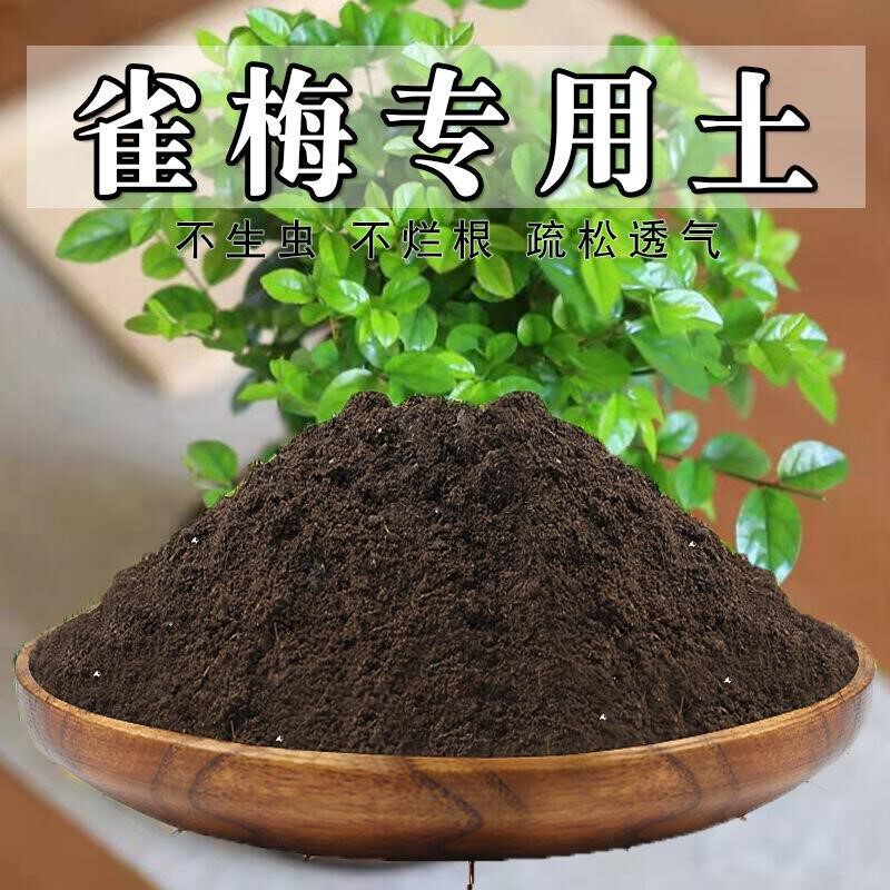 雀梅专用土雀梅盆景土盆栽土营养土通用种花养花泥土壤肥料种植土