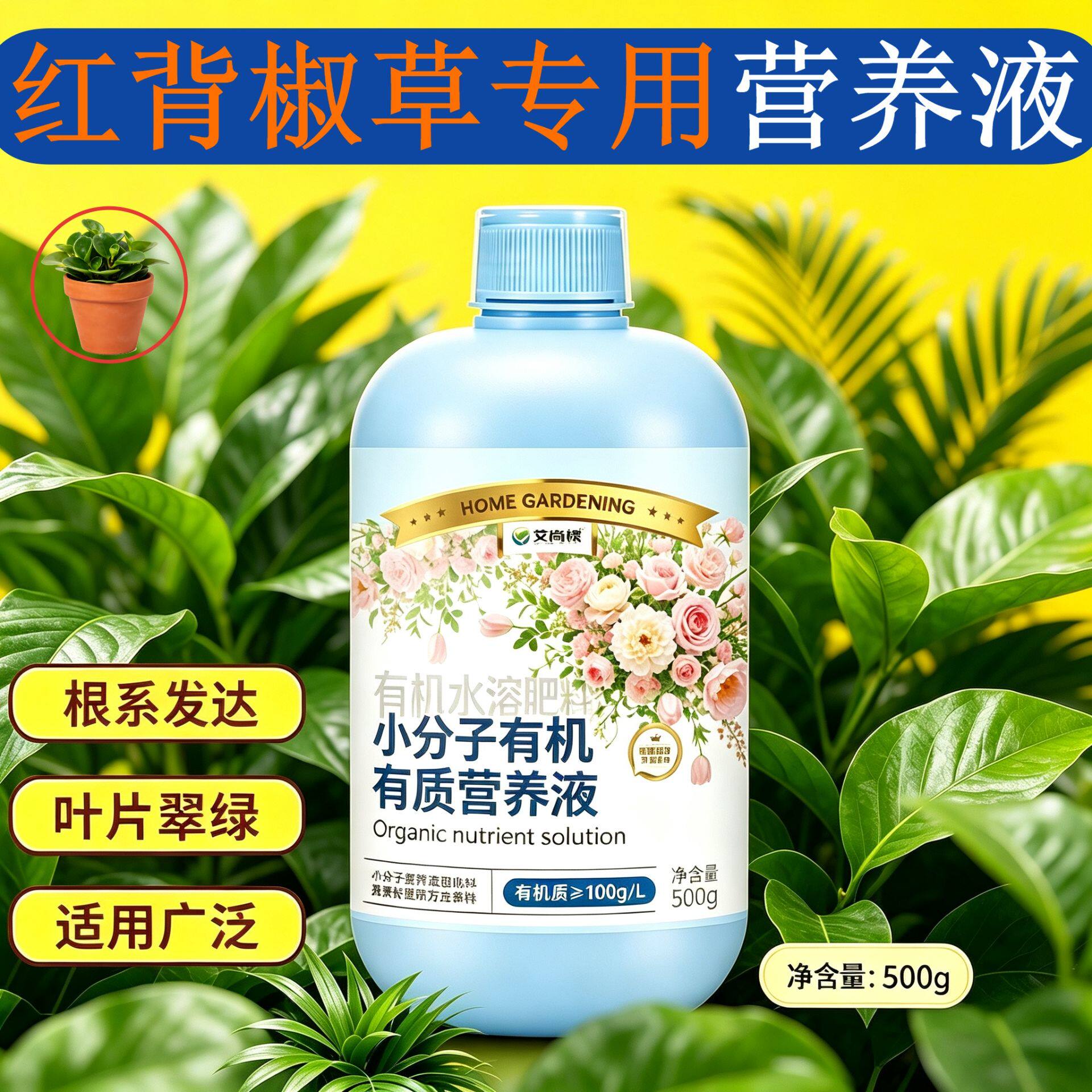 红背椒草专用小分子营养液适用广泛盆栽家用快速吸收叶绿花艳适用