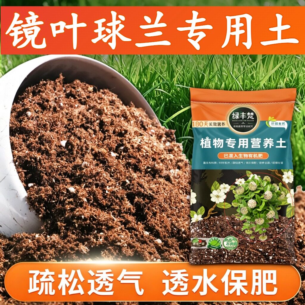 镜叶球兰适用基质科学配比绿萝盆栽土进口留存水分开袋即用多肉