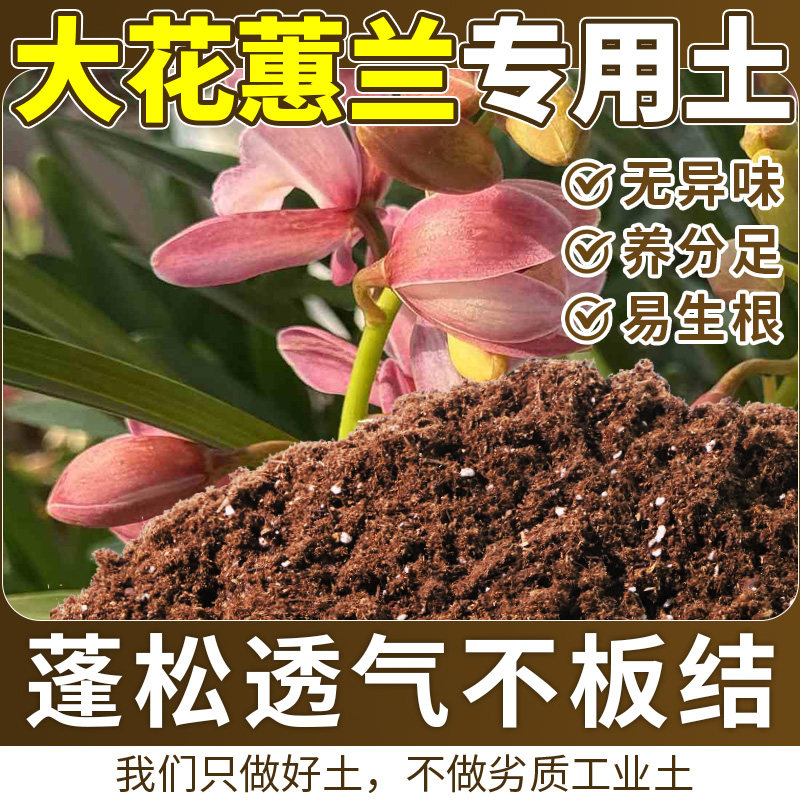 大花蕙兰专用轻质有机土泥炭土干湿循环好不板结营养土进口木本