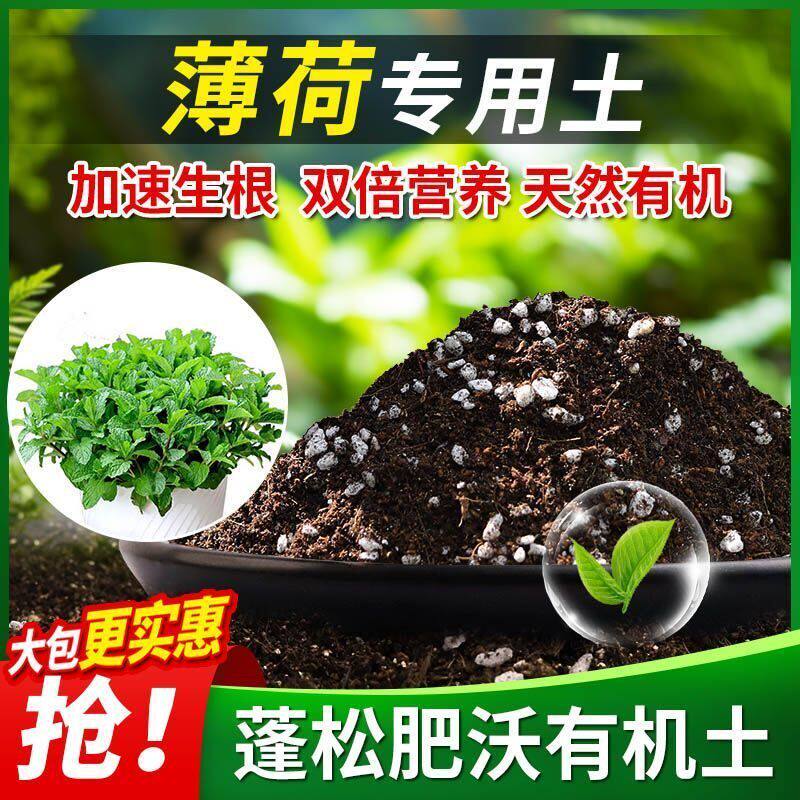 薄荷专用土薄荷土壤通用养花营养土多肉绿萝盆栽种植土椰糠土肥料