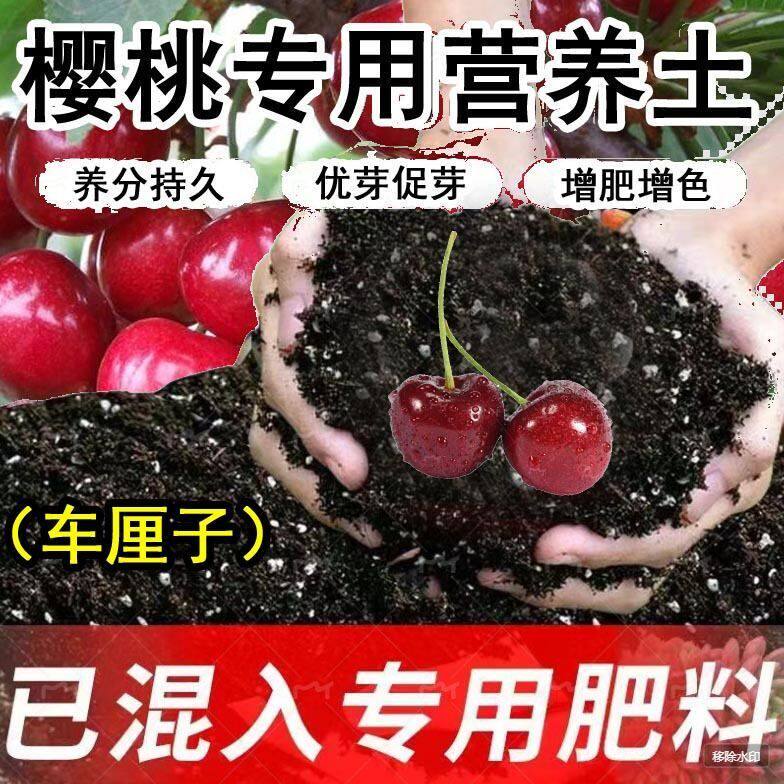 车厘子专用土樱桃种植土盆栽土育苗土营养土通用种花养花土有机土