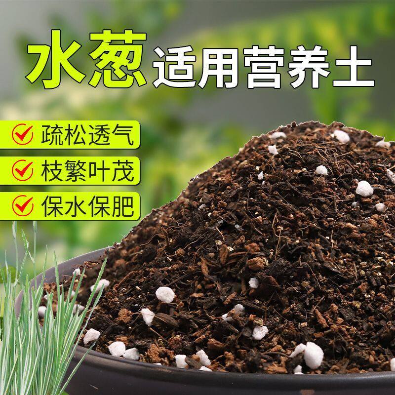 【水葱专用土】疏松透气盆栽绿植专用园艺室内植物有机营养土肥料