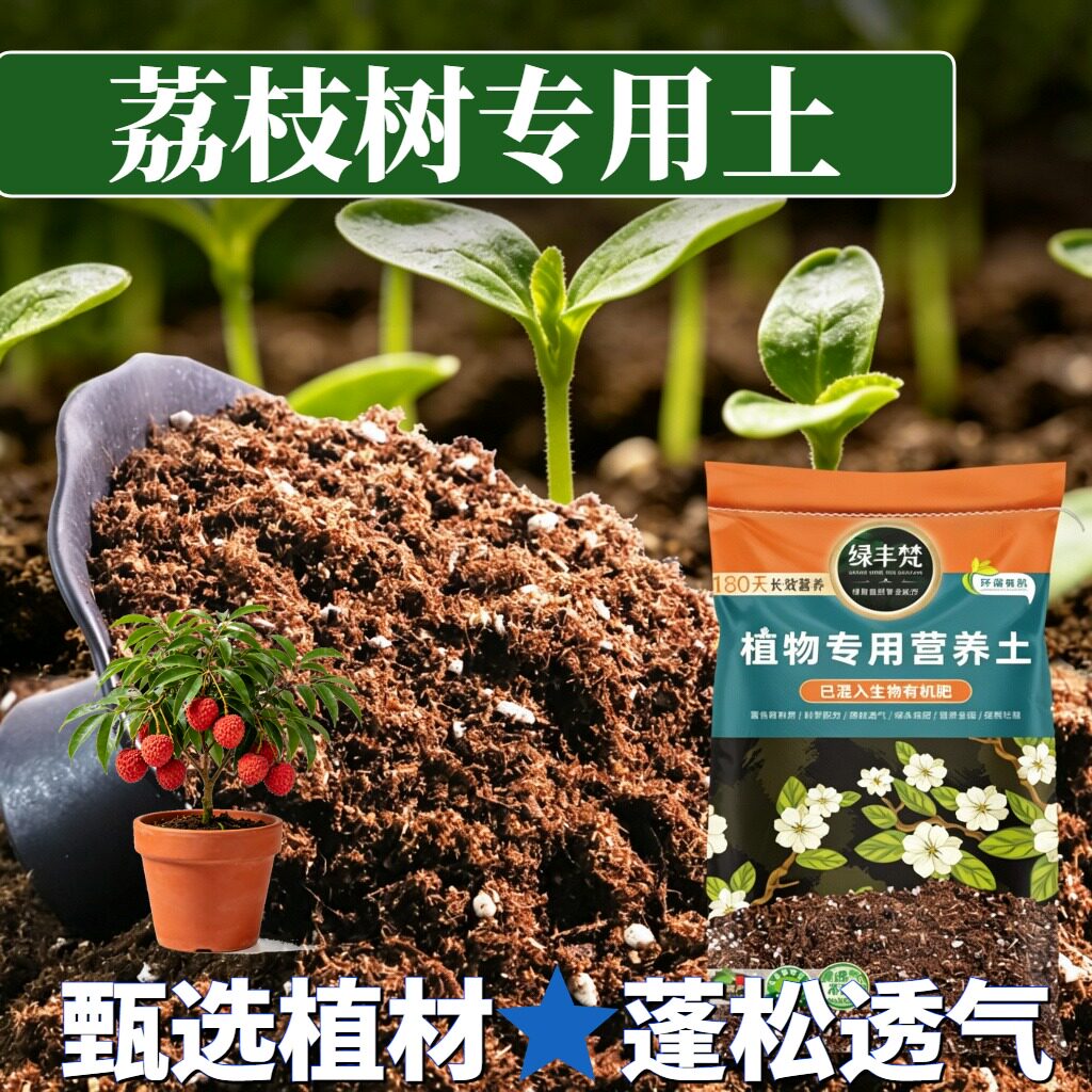 荔枝树专用种植土不烧根不烧苗地栽盆栽土经久耐用绿叶无草籽观叶