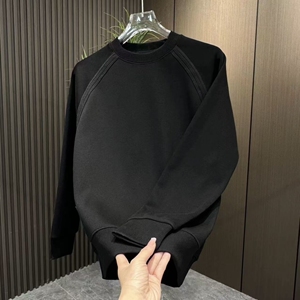 1506/Q82640/P39秋季新款百搭款男士时尚休闲卫衣舒适2025年图片