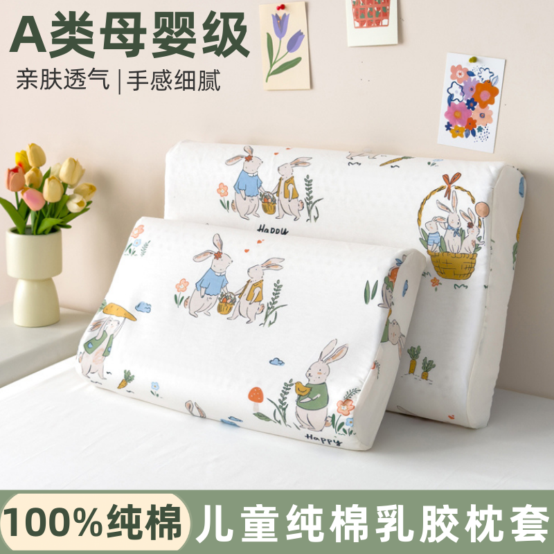 a类纯棉乳胶枕套40x60小清新枕头套30x50儿童卡通记忆枕芯内胆套