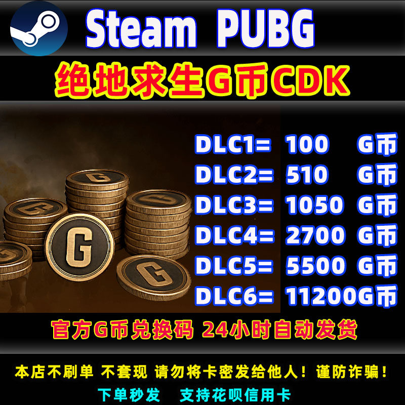PUBGG币CDK24小时自动发货Steam图片