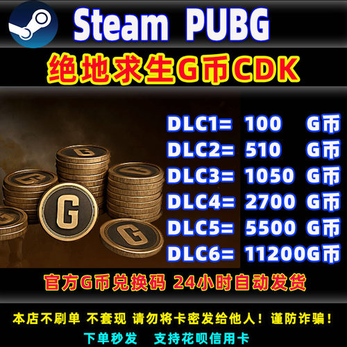 PUBGG币CDK24小时自动发货Steam
